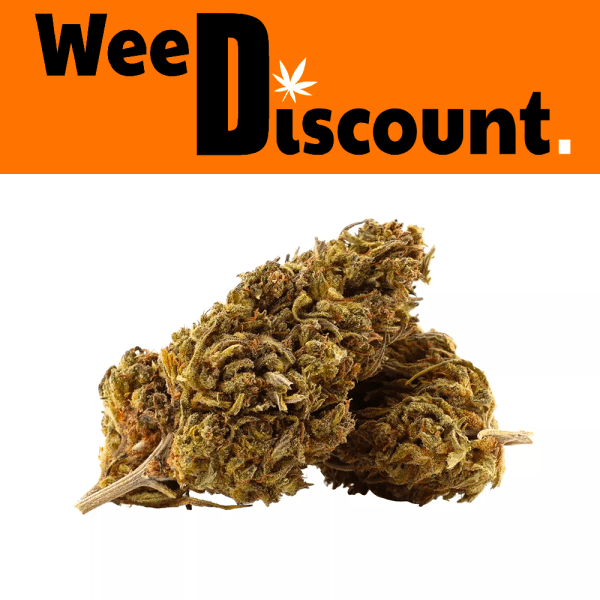 MOBY DICK CBD WEEDISCOUNT